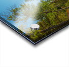 Jenny Lake Rocky Shoreline Grand Teton National Park Fine Art Print Acrylic print