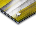 Golden Aspen Abstraction Fine Art Landscape Acrylic print