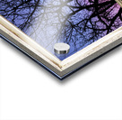 Colorful Tree White Farm House Window Portrai Acrylic print