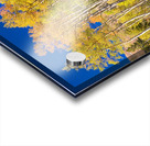 autumn aspen trees Panorama1 Acrylic print