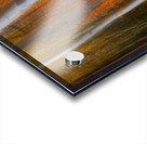 Forest Color Burst Modern Abstract 60x20 Acrylic print