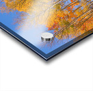 colorful colorado autumn  Acrylic print