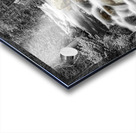 Roosevelt National Forest Stream BW Selective Acrylic print