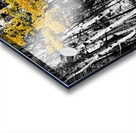 Aspen Touch of Orange Acrylic print