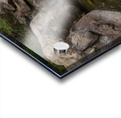 Boulder Canyon Paradise Acrylic print