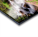 Cascading Rocky Mountain Forest Creek Acrylic print