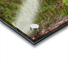 Mountain Stream Acrylic print