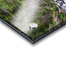 Rocky Mountain Stream Acrylic print