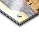 Elk Heard Grazing Rocky Mountain Foothills Acrylic print