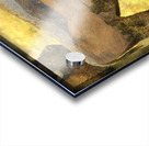 Buffaloe Sand Dunes Acrylic print