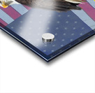 American Freedom Acrylic print