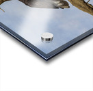 fish anyone Acrylic print