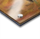 Young Buffalo Acrylic print