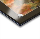 Bison Moment Acrylic print