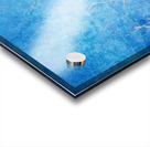 Bald Eagle Blues Acrylic print