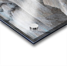 Unveiling Natures Timeless Tapestry Acrylic print