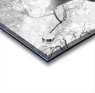 Monochrome Tree Art -  Majestic Trunk and Leaves in Fine Detail Acrylic print