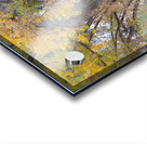 Autumns Bounty - A Country Road Market Acrylic print