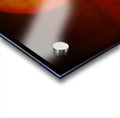 Big Sun Saguaro Sunset Acrylic print