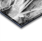 Tropical Tree Vibes Acrylic print