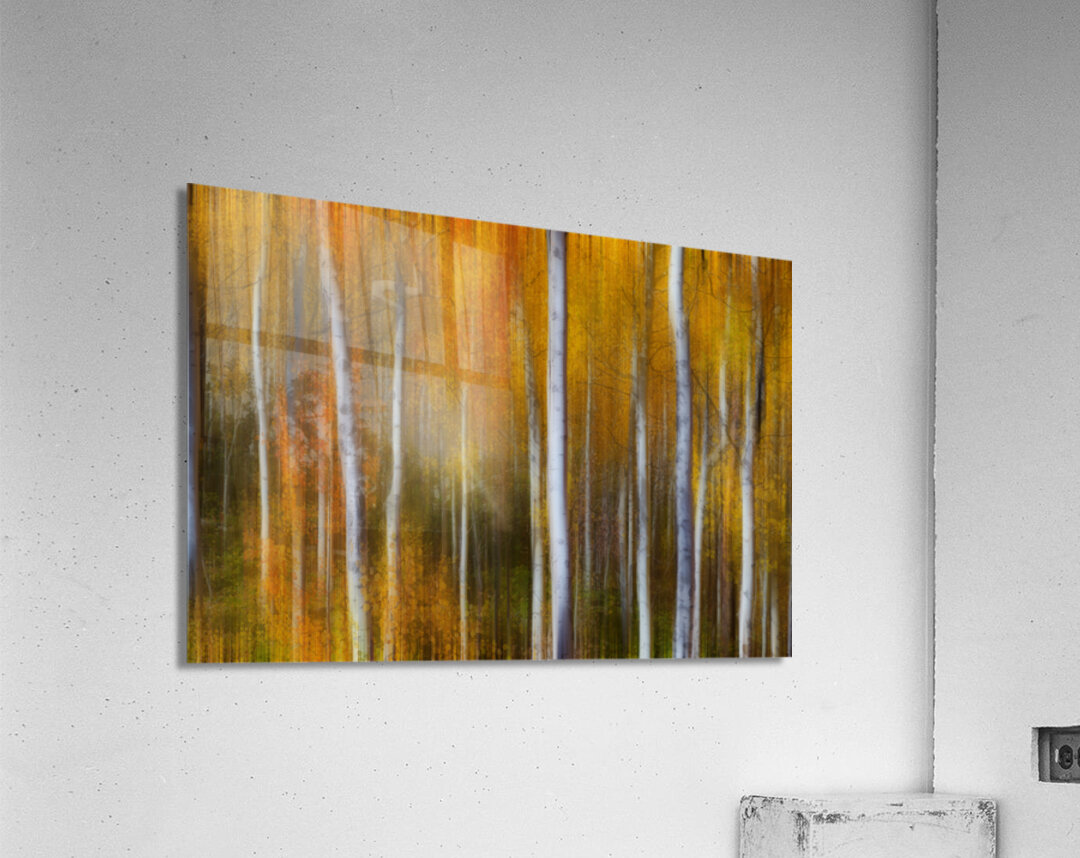 Forest Color Burst Modern Abstract Acrylic Print