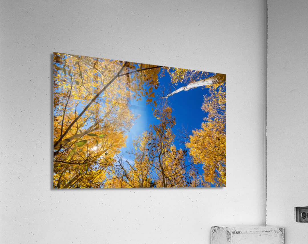 Blue Sky Autumn Bliss Acrylic Print