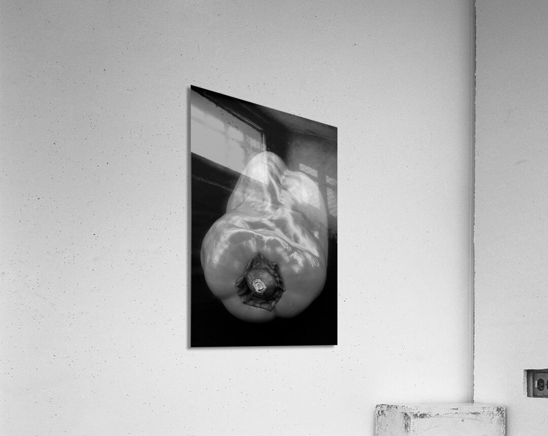 Red Pepper Bringing Sexy Back Black and White Acrylic Print