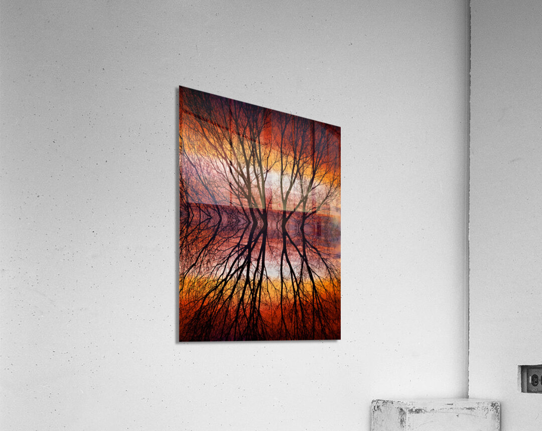 Sunset Tree Silhouette Abstract 2 Acrylic Print