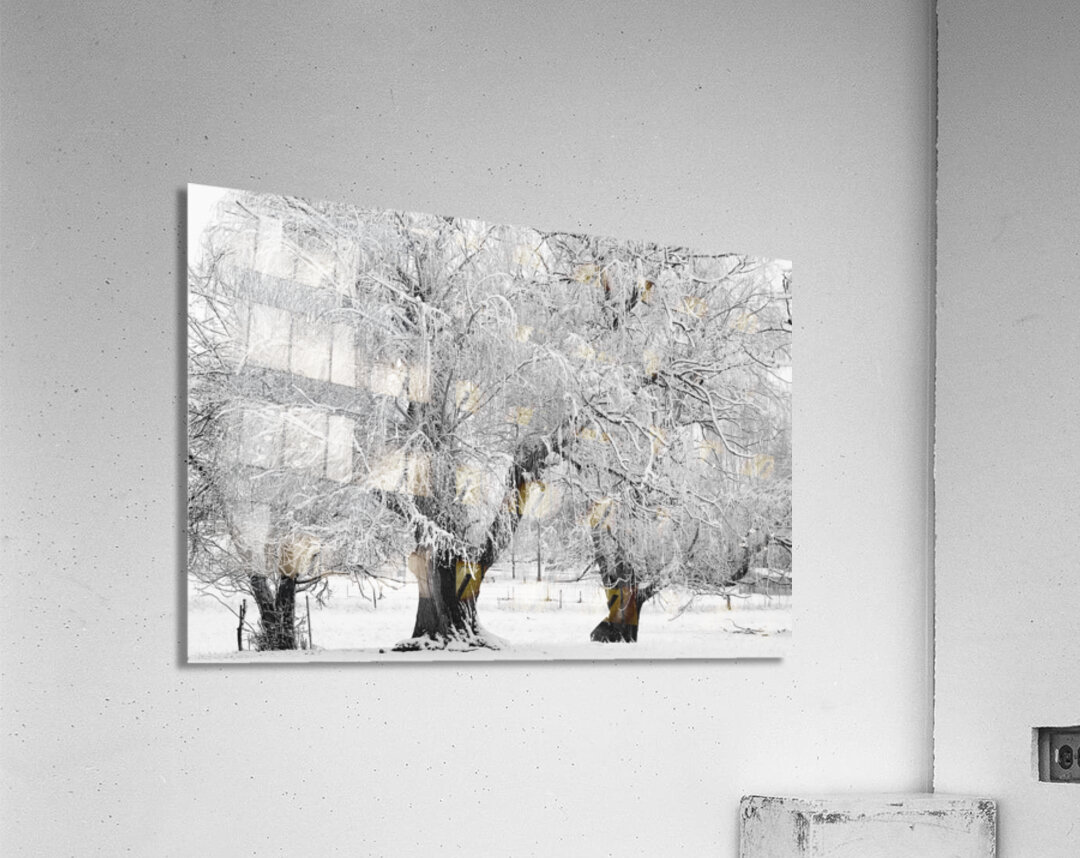 Three Trees Acrylic Print