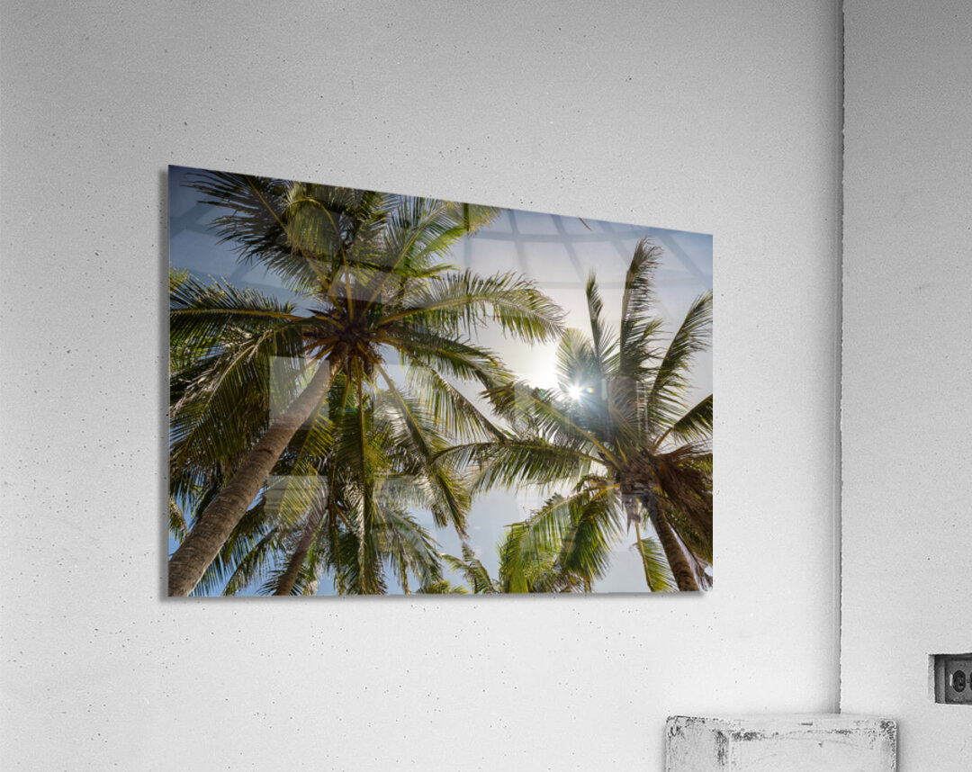 Tropical Sun Acrylic Print