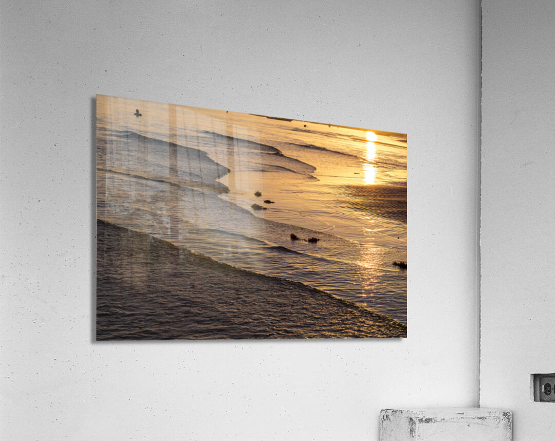 Golden Tide Acrylic Print