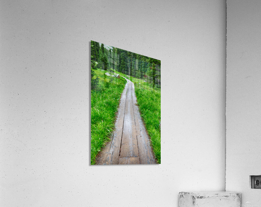 Wooden Forest Path Acrylic Print