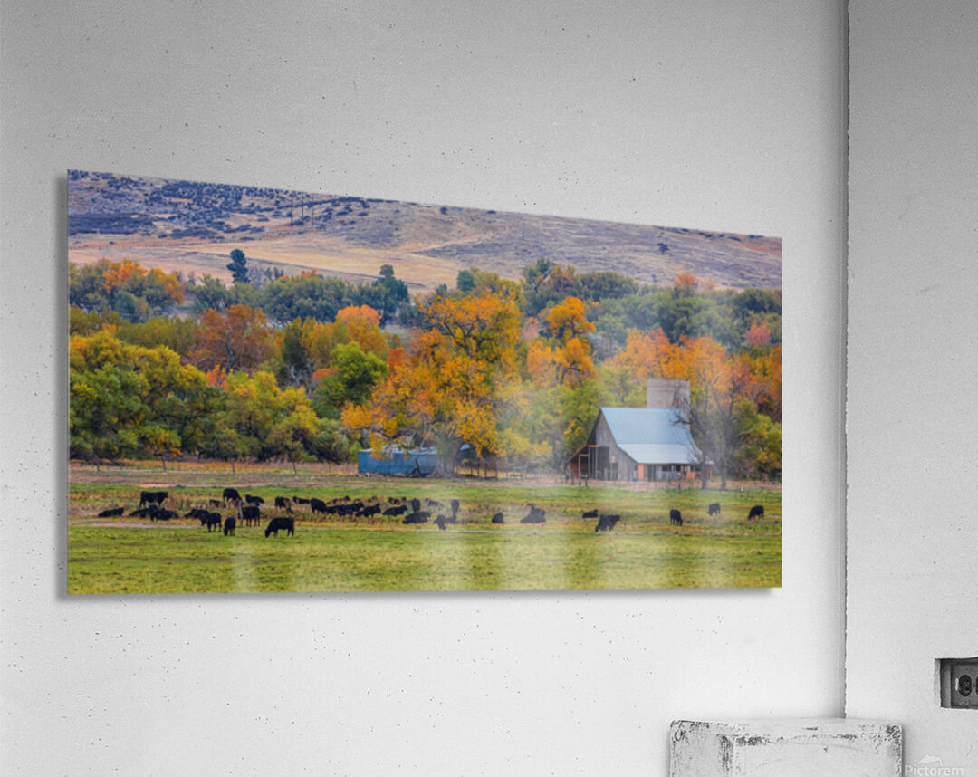Just A Pretty Country Landscape Acrylic Print