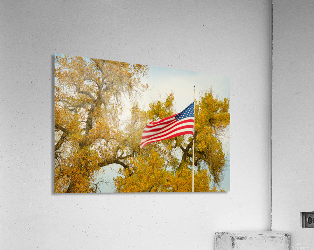 Glory Glory Acrylic Print