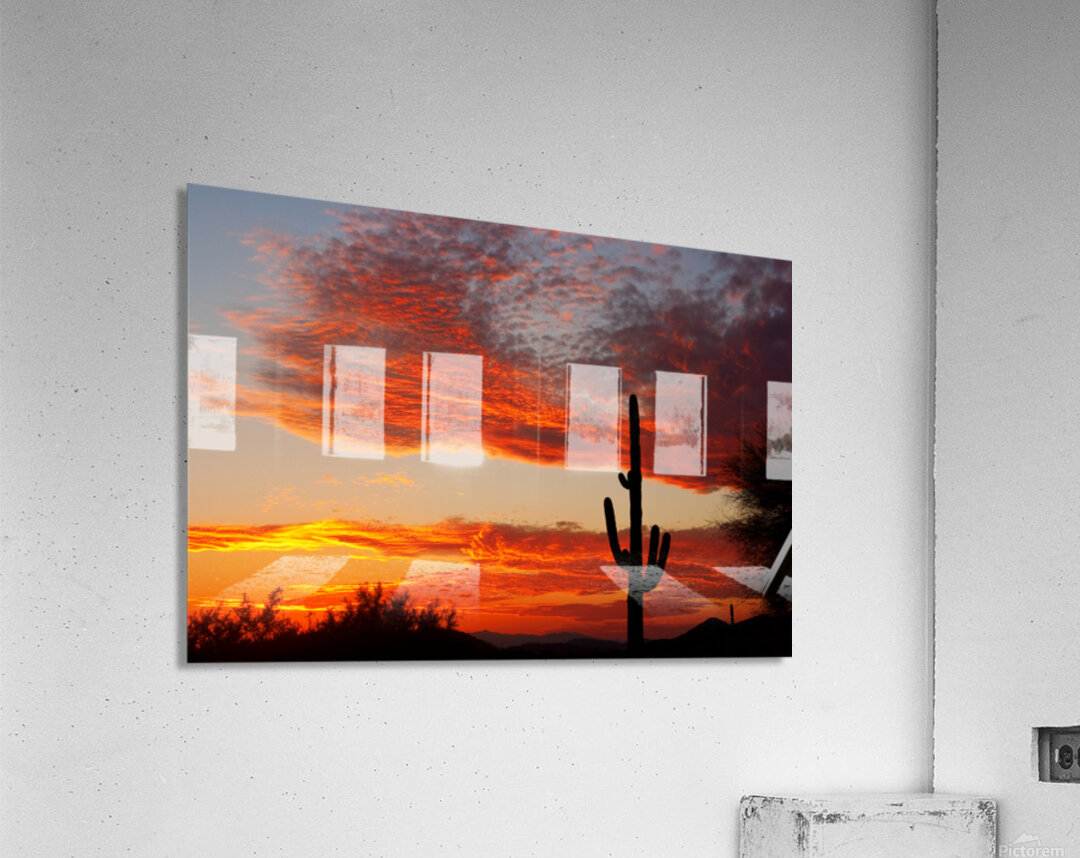  Fiery Arizona Sunset Behind a Silent Saguaro Acrylic Print