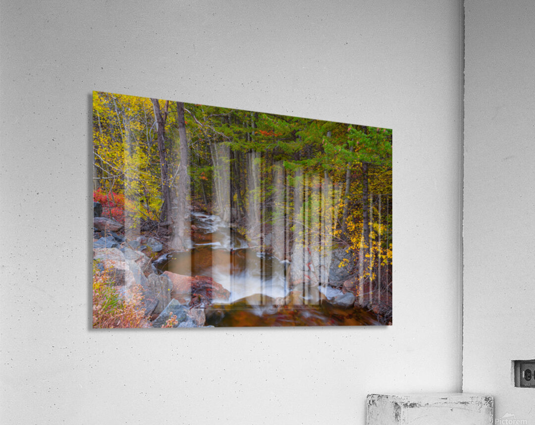 Tranquil Autumn Creek in a Rocky Mountain Forest Acrylic Print
