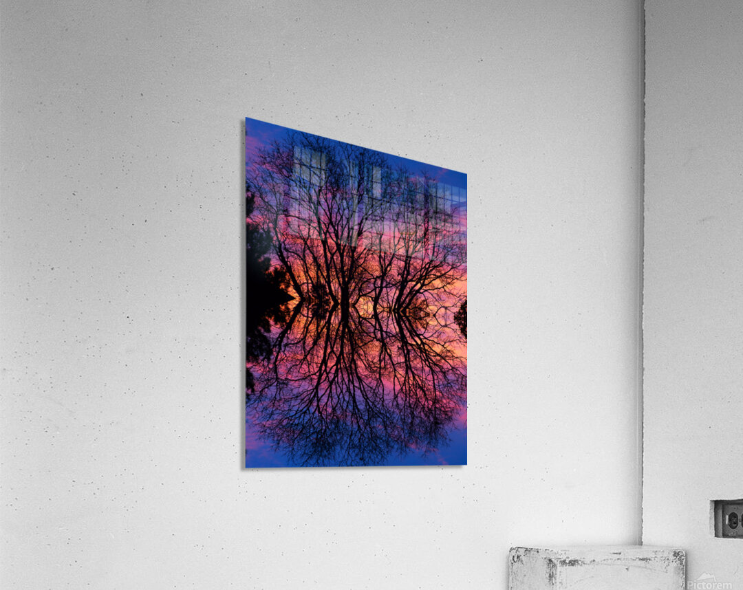 Sunset Trees Abstract Reflection Art Acrylic Print