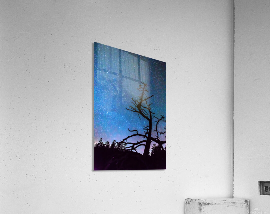 Starry Night Sky with Silhouette Tree Acrylic Print