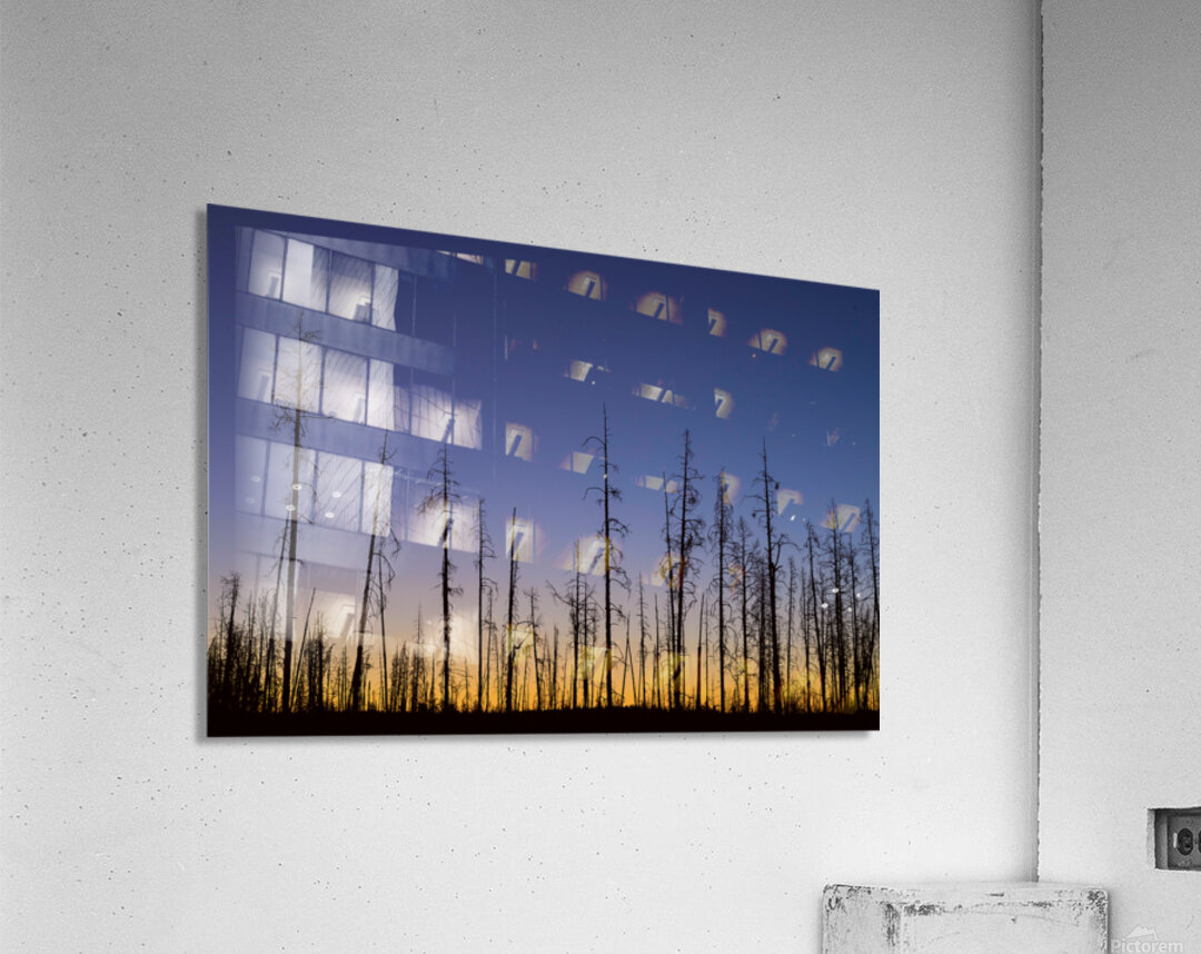 Yellowstone National Park wildfire aftermath Acrylic Print