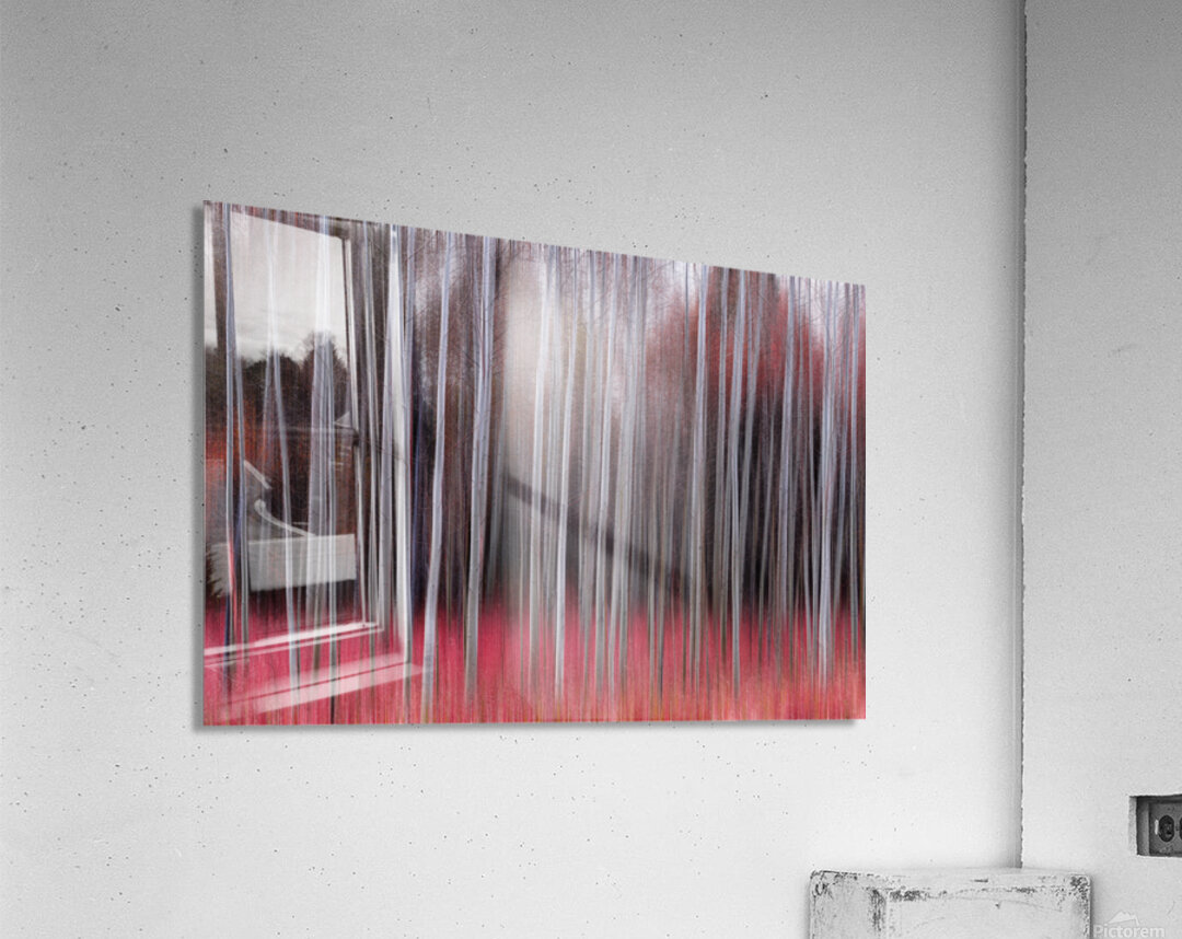 Crimson Silence in Motion Fine Art Forest Photography Print Acrylic Print