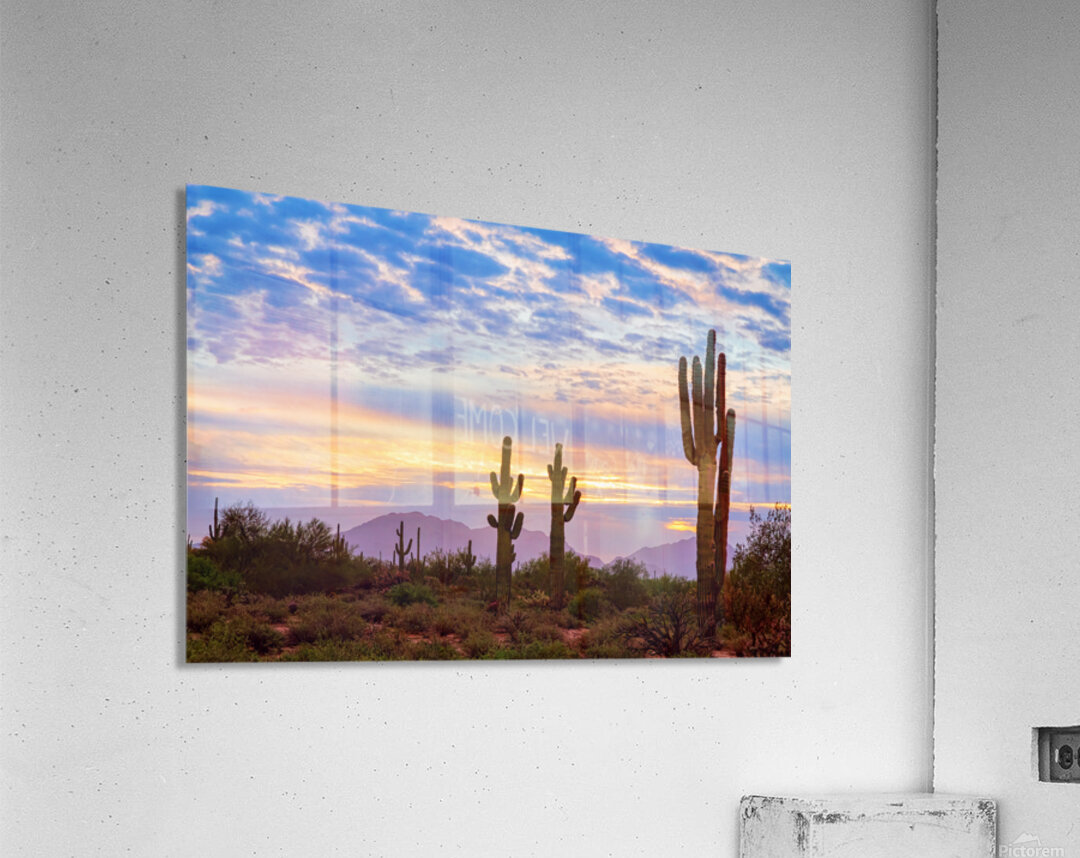 Colorful Sonoran Desert Sunrise in Beautiful Arizona Acrylic Print
