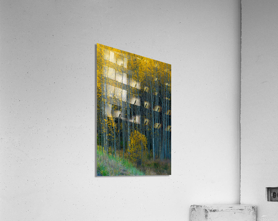 Slice of Autumn  Impression acrylique 