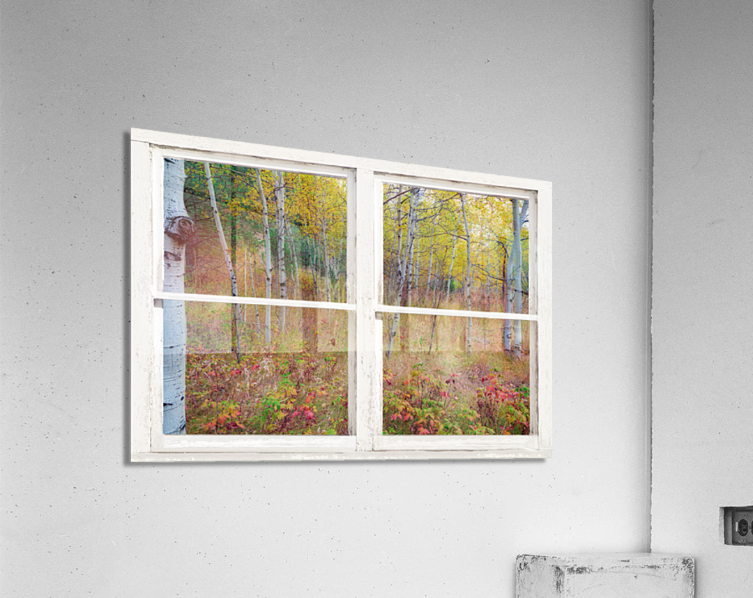 Autumn Forest Delight Rustic Window View  Acrylic Print 