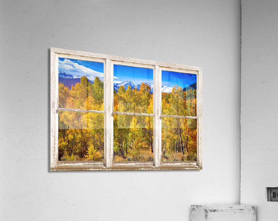 Independence Pass Autumn Colors White Barn Window  Acrylic Print 