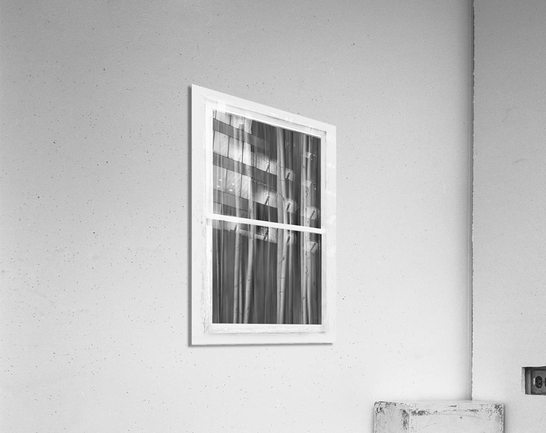 Surreal Dreamy Aspen Forest White Rustic Window Acrylic Print