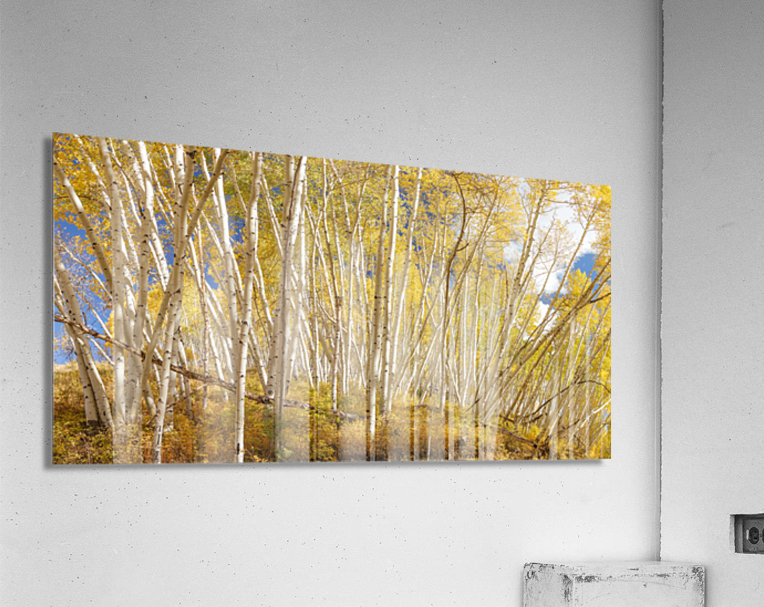 Golden Forest Fantasy Acrylic Print