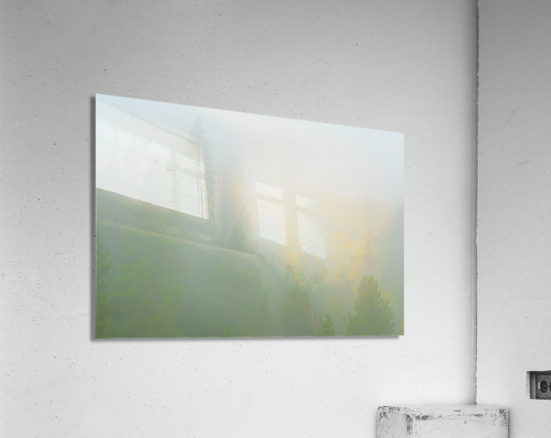 Deep in the Fog Acrylic Print