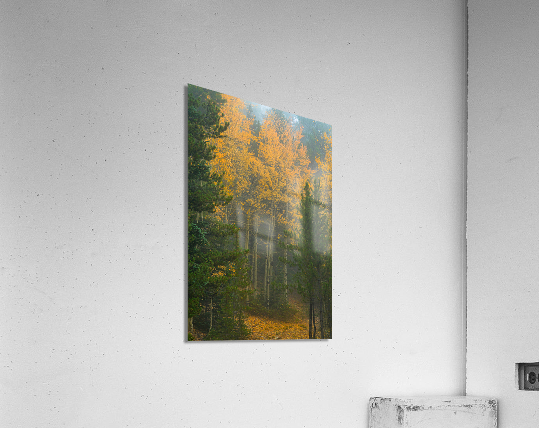 Gate Keepers Acrylic Print