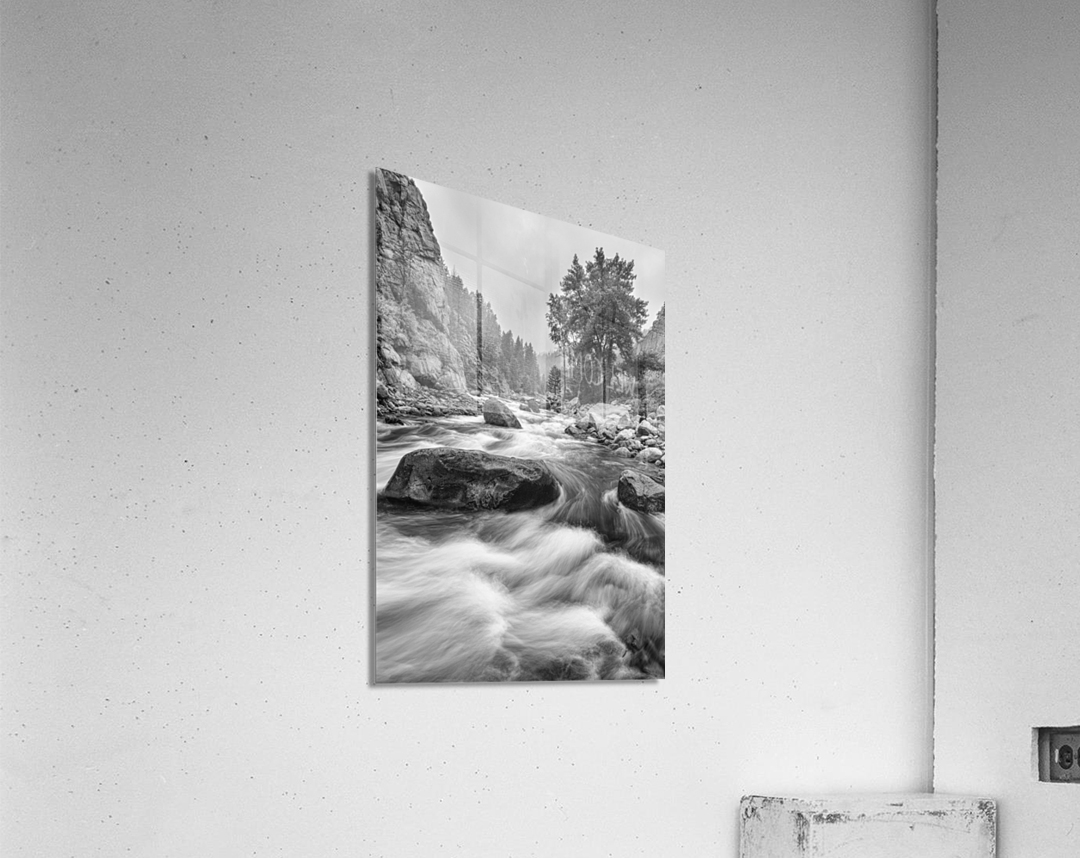 Colorado Black White Canyon Portrait  Acrylic Print 