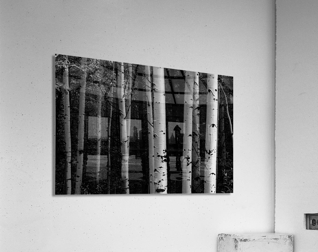 Shades Of A Forest Acrylic Print